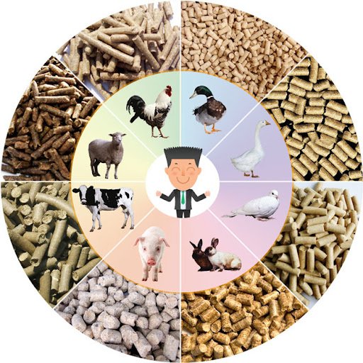 Linie de Producție pentru Furaje de Pește