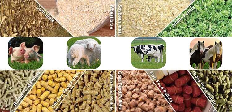 Animal Feed Factory Project