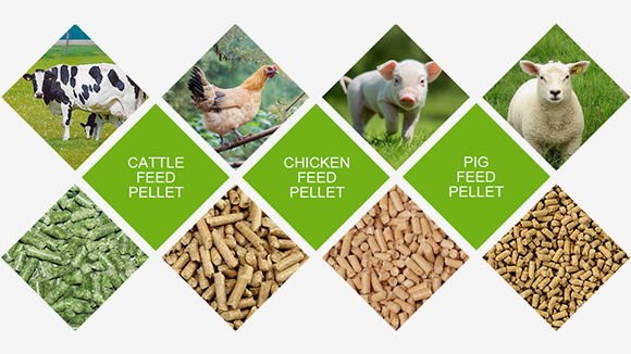 Granulator furaje cu matriță plană vs. inelară