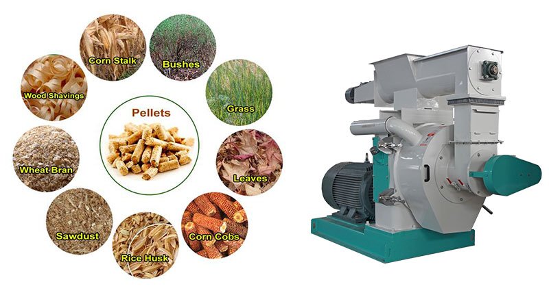 Cum Afectează Duritatea Peletului Dentiția Rumegătoarelor Mici? 8 Granulator furaje cu matriță plană vs. inelară