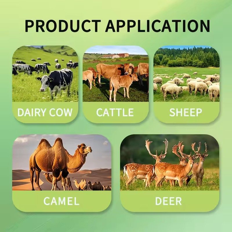 Granulator Furaje Ieftin - Soluții Profesionale MAIKONG 2 Granulator Furaje Ieftin