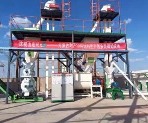 Prezentare cazuri linii de producție granulator MAIKONG