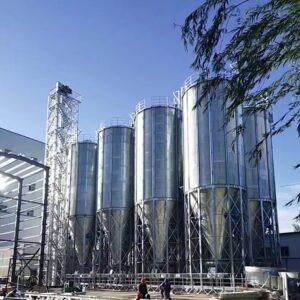 Prezentare cazuri linii de producție granulator MAIKONG